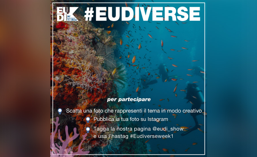 #EUDIVERSE