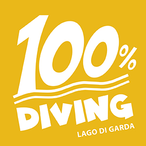 100×100 DIVING